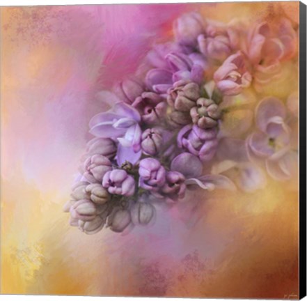 Framed Sun On The Lilacs Print