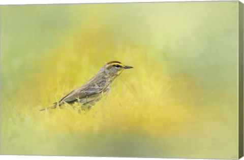 Framed Welcome New Friend Print