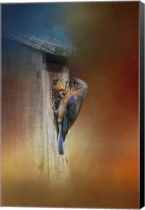 Framed Baby Bluebird Breakfast Print