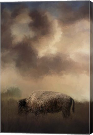 Framed Bison Grazing At Sunrise Print
