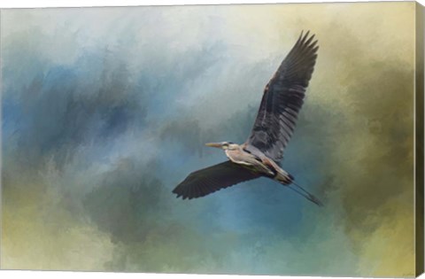 Framed Heron In The Midst Print