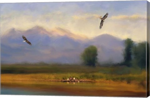 Framed Where Eagles Play Print