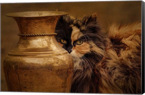 Framed Behind The Antique Vase Print