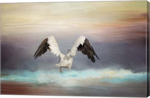 Framed Early Morning Swim Print