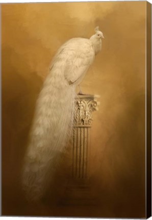 Framed Elegance In Gold Print