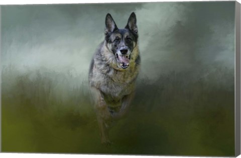 Framed Racing The Storm Print