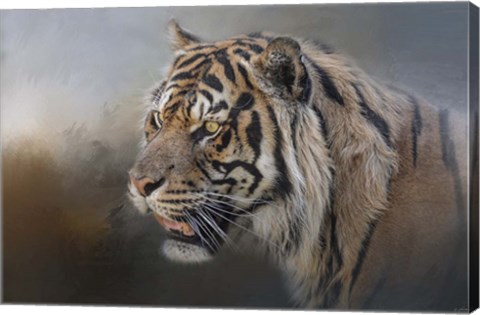 Framed Alert Bengal Print