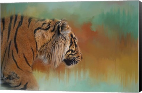 Framed Bengal Energy Print