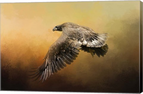 Framed First Flight Print