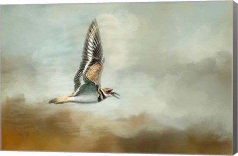 Framed Flight Of The Killdeer Print