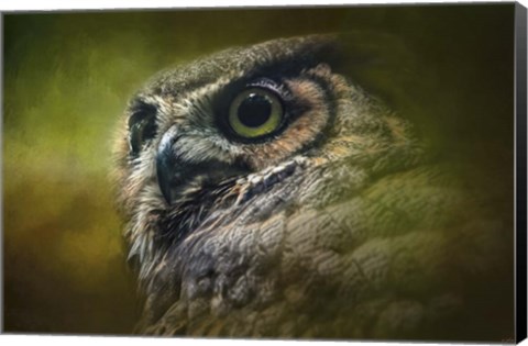 Framed Great Horned Owl In The Grove Print