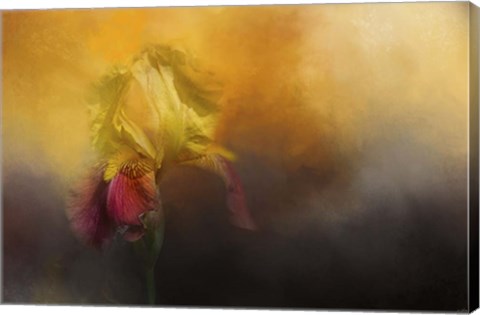 Framed Iris In Miss Junes Garden Print