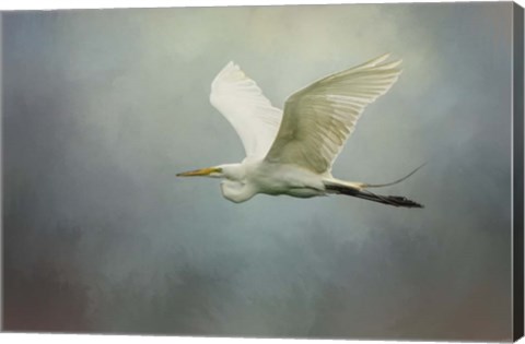 Framed Sea Flight Print
