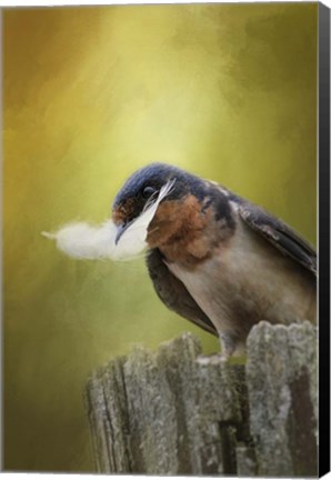 Framed Feather For Her Nest Print