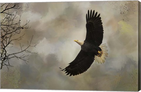 Framed After The Intruder Print