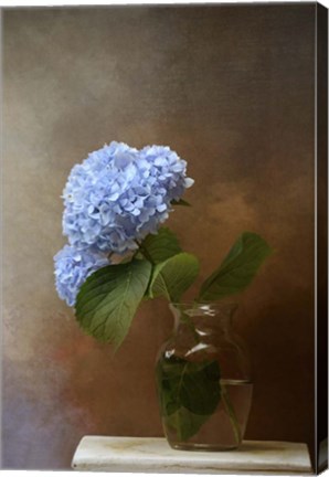 Framed Blue Hydrangea In A Vase Print