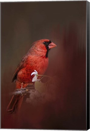 Framed Cardinal In Antique Red Print