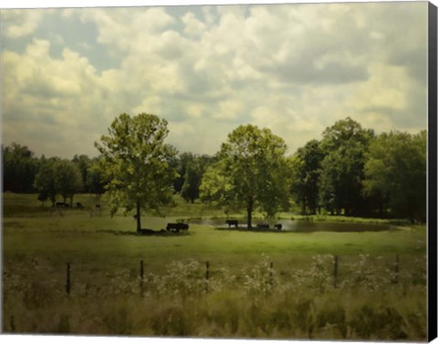 Framed Cattle Pond In Summer Print
