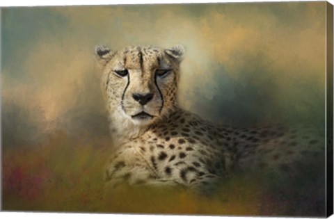 Framed Cheetah Enjoying A Summer Day Print