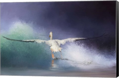 Framed Head On Print