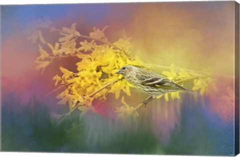 Framed Jewel In The Garden Print