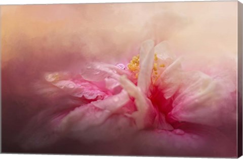 Framed Rain Diamonds Print