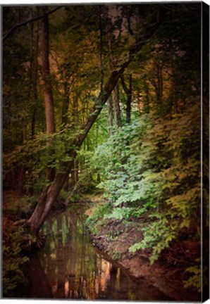 Framed Shiloh Stream 2 Print