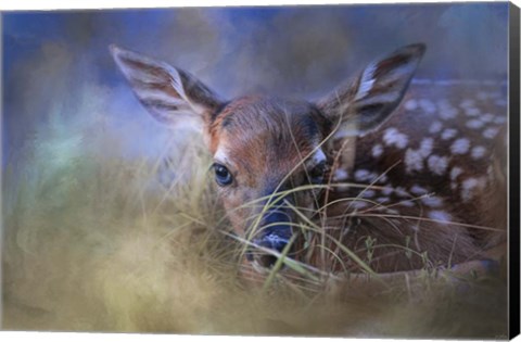 Framed First Fawn Print