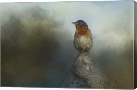 Framed Highest Point Print