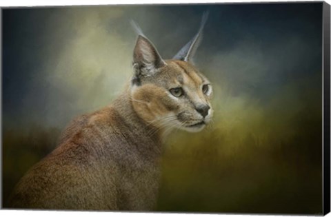 Framed Tufted Ears Print