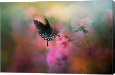 Framed Garden Friend 1 Print