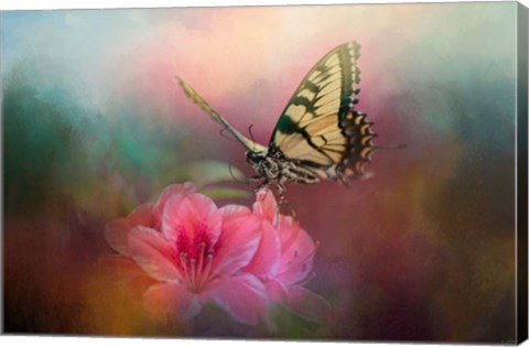 Framed Garden Friend 2 Print