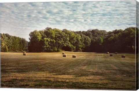 Framed Harvest Time Print