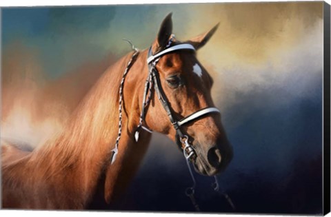 Framed Bathed In The Evening Light Print