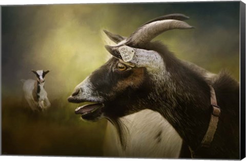 Framed Calling Print