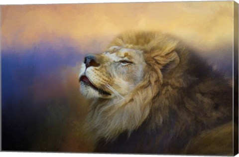 Framed Do Lions Go To Heaven Print