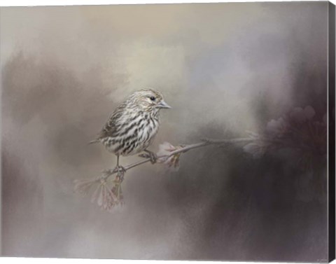 Framed Just A Whisper of Feathers Print