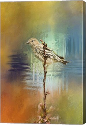 Framed Many Colors 2 Print