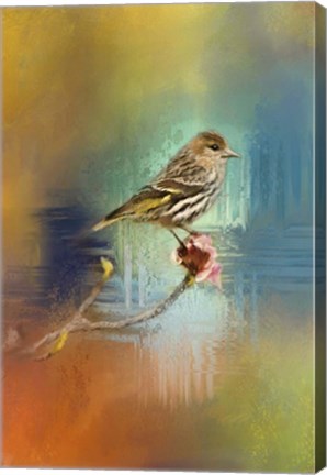 Framed Many Colors Print