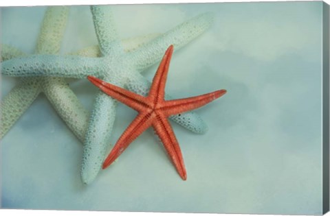 Framed Ocean Treasures Print