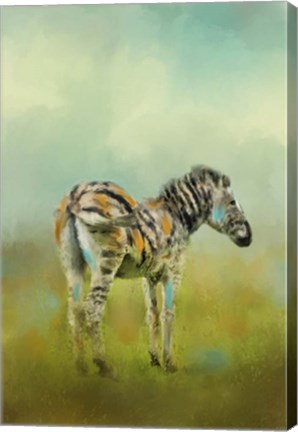Framed Summer Zebra 1 Print