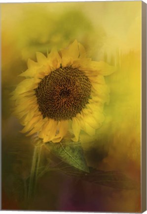 Framed Happiest Flower Print