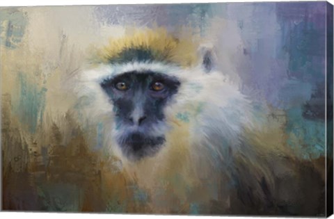 Framed African Grivet Monkey Print