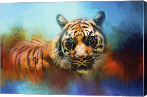 Framed Colorful Expressions Tiger 2 Print
