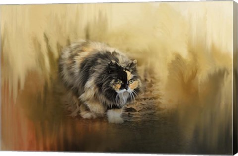 Framed Stalking Autumn Print