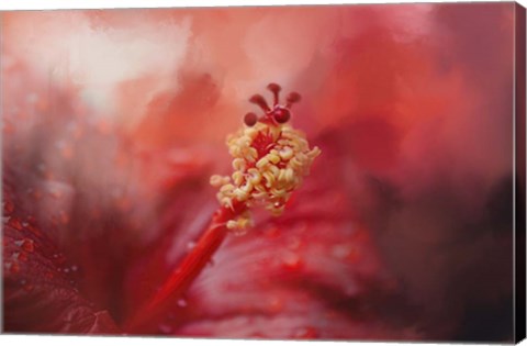 Framed Glorious Bloom Print