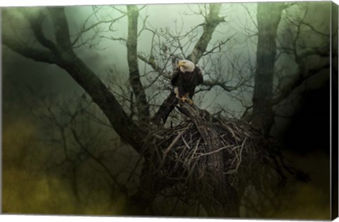 Framed Storm At The Old Nest Print