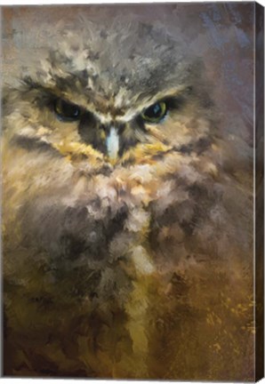 Framed Burrowing Owl Print