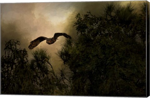 Framed Night of The Owl 1 Print