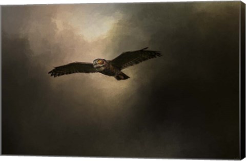 Framed Night of The Owl 2 Print